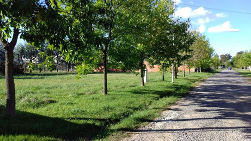 Imagen 2 de 7 de Terreno En Venta - Sarmiento (lujan)
