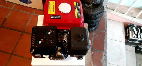 Imagen 2 de 9 de Motor Multiproposito A Gasolina