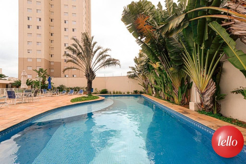Imagem 25 de 30 de Apartamento - Ref: 65185