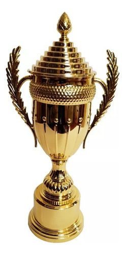 Copa Trofeo Con Asas Trofeo Premio P/ Deportes Grande 50 Cm