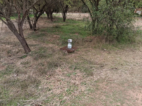 Oferta Parcela 5.000 Mt2, Talca (pencahue) Agua Y Luz