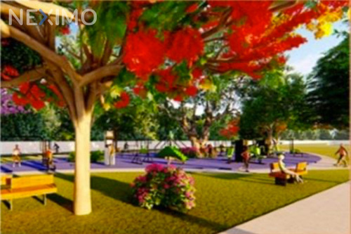 Imagen 5 de 5 de Venta De Lotes Entre Playa Sisal Y Hunucmá, Yucatán, Mex.
