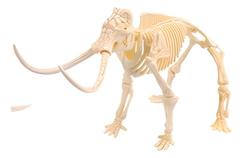 Fósil Esqueleto Dinosaurio Armable Wolly Mammoth