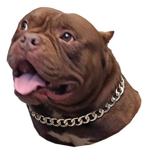 Cadena Collar Decorativo De Aluminio Para Perro Tallas S M L
