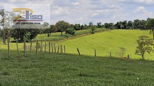 Imagem 1 de 15 de Sítio Em Centro - Ouro Fino - 1460