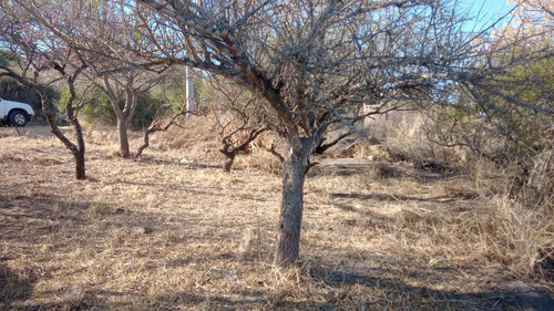 Imagen 15 de 16 de Terreno - Cabalango
