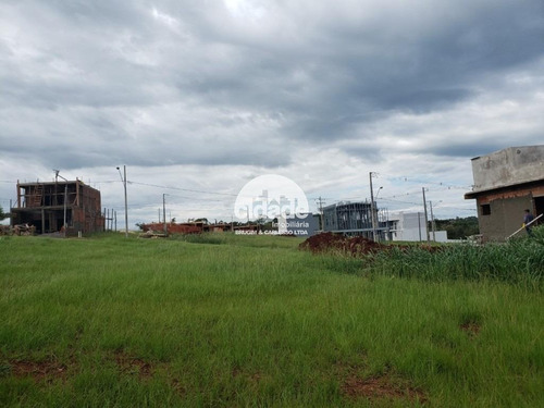 Imagem 7 de 10 de Terreno À Venda, Universitario - Cascavel/pr - 11239