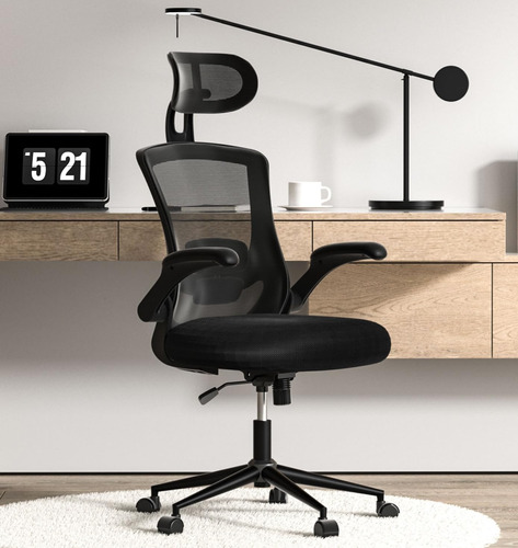 Casasio Ergonomic High Back Office Chair With Lumbar Suppor.