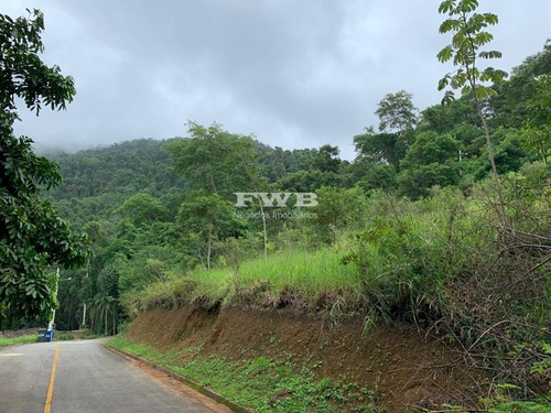 Imagem 2 de 13 de Terreno No Portogalo - Angra Dos Reis - 2044007532 - 34959883
