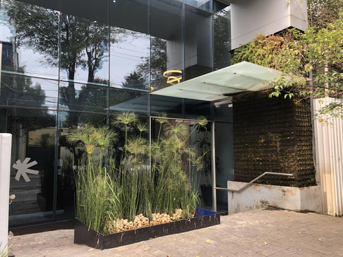 Renta Oficina - Lomas De Chapultepec - Piso 2 - 589 - M2