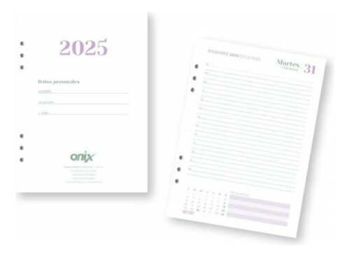 Repuesto Agenda N°8 16x22 Diaria Pagina Por Dia Onix Portada N/a