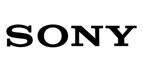 Corneta Altavoz Inalámbrico Sony X-series Xg300 Con Bt