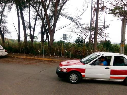 Imagen 7 de 12 de Terreno En Venta Petrolera