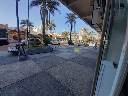 Sobre Av. Gorlero- Ref: 11489