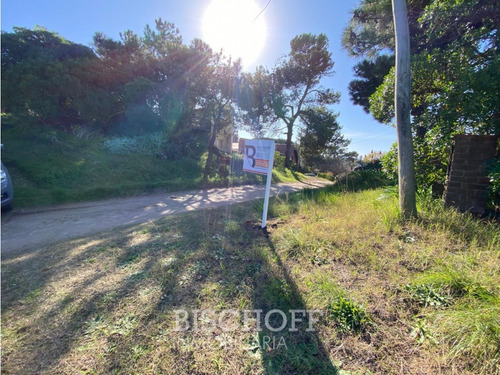 Venta De Lote En Ostende Calle Moreno