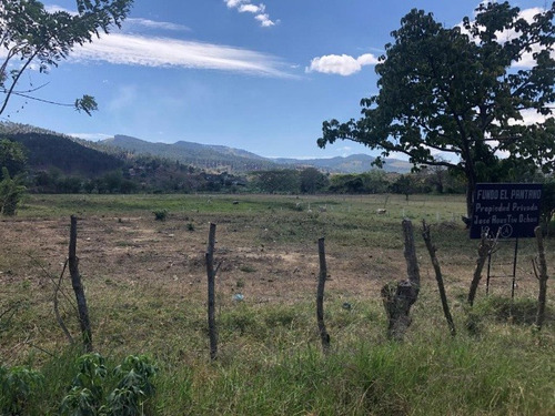 José Herrera Vende Mini Finca En La Entrada De Nirgua Estado Yaracuy. (plf-005)