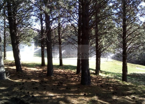 Imagen 3 de 8 de Susana Aravena Propiedades-lote En Venta En El Desafio Mountain Resort