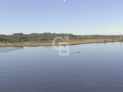 51,22 Hectáreas En Chepu, Ancud (sobre Carretera)