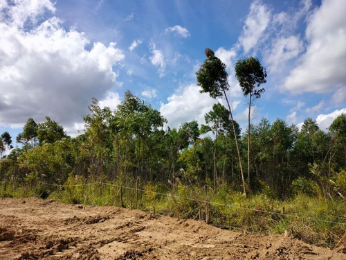 Imagem 6 de 11 de Lotes E Sítios Próximo A Represa Cd. Phg
