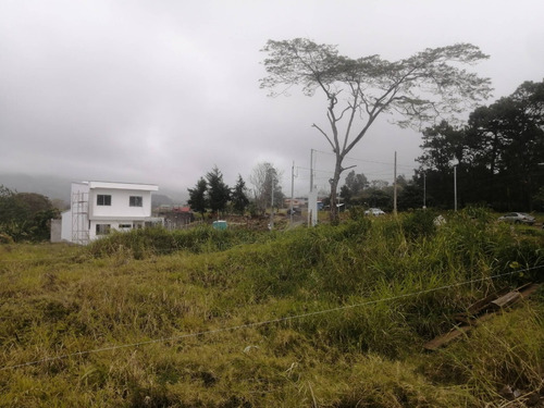 Imagen 4 de 11 de Se Vende Lote 314m2 En Sto Domingo X Ruta 32 - Residencial/comercial