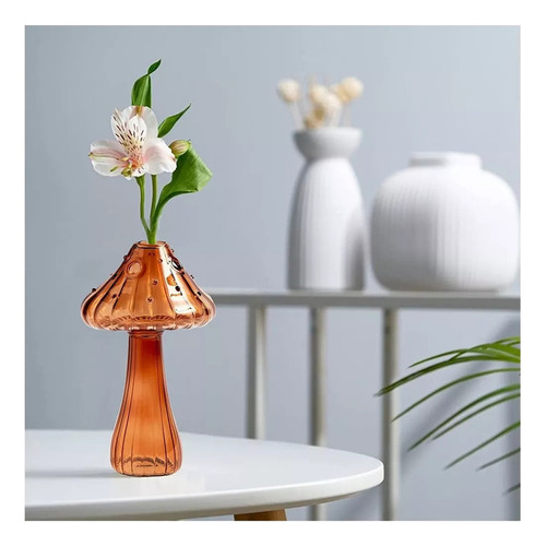 Decoración Del Florero De Cristal De La Maceta Hidropónica