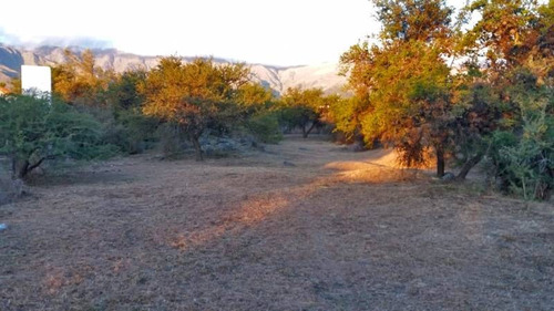 Imagen 2 de 7 de Terrenos O Lotes Venta Merlo