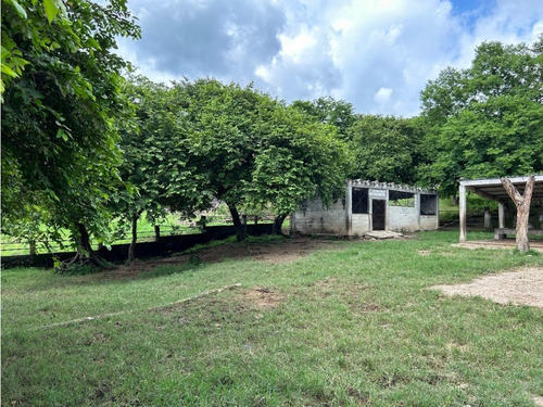 Impresionante Rancho En Manuel Avila Camacho - Tonalá