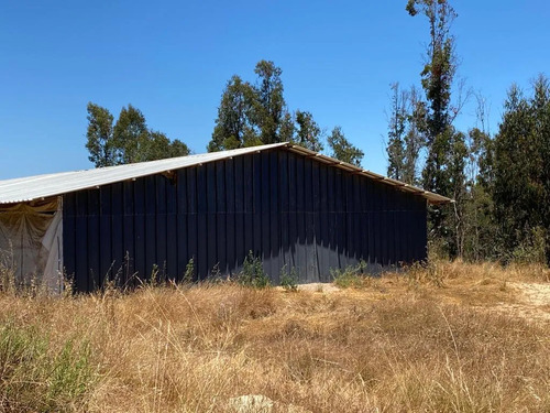Venta Parcela 2 Hectareas Con Galpon Avicola Y Casa