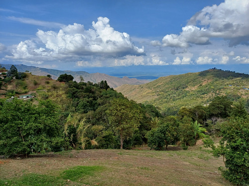 Dapa Vendo Finca Casa-lote Sector Miravalle