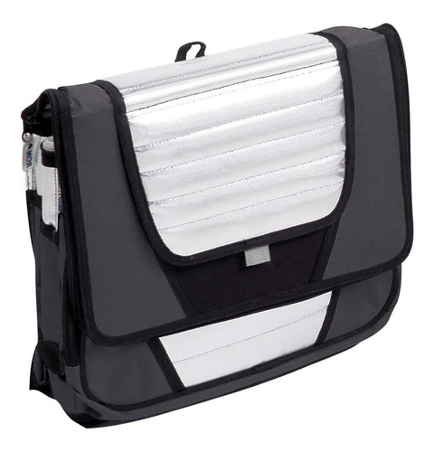 Bolsa Térmica Ice Cooler Mor 36 Litros 1 Divisoria Cinza