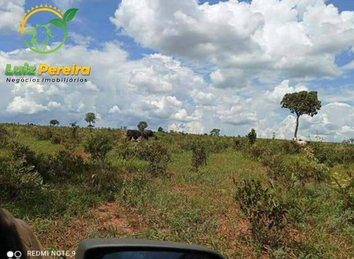 Imagem 1 de 15 de Fazenda À Venda Em Anaurilândia - Ms - (excelente Para Lavoura) - 1696