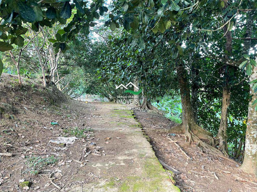 Imagem 6 de 30 de Chácara, Area Rural, Pedro De Toledo - R$ 279 Mil, Cod: 190 - V190