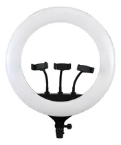 Comprar Anillo Aro De Luz Led 14 Pulgadas 36cm Con Soporte Celular 