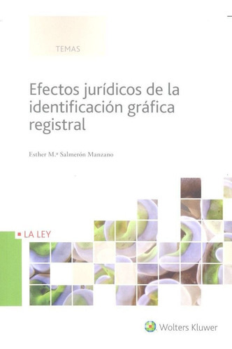 Efectos jurÃÂdicos de la identificaciÃÂ³n grÃÂ¡fica registral, de Salmerón Manzano, Esther Mª. Editorial La Ley, tapa blanda en español