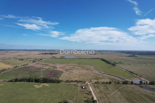 Imagen 12 de 26 de Terreno Fraccion En Venta Ubicado En Cañuelas, Resto De La Provincia, Buenos Aires