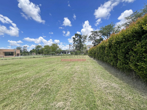 Lote Interno De 860m2 - Área 4 San Matias