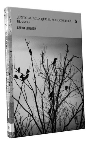 Junto Al Agua Que El Sol Constela, Blando, De Sedevich, Carina. N/a, Vol. Volumen Unico. Editorial Palabrava, Tapa Blanda, Edición 1 En Español