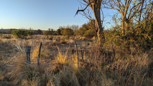 Imagen 4 de 9 de T054 Sl Amplio Terreno En Venta De 1050m2 En San Lorenzo
