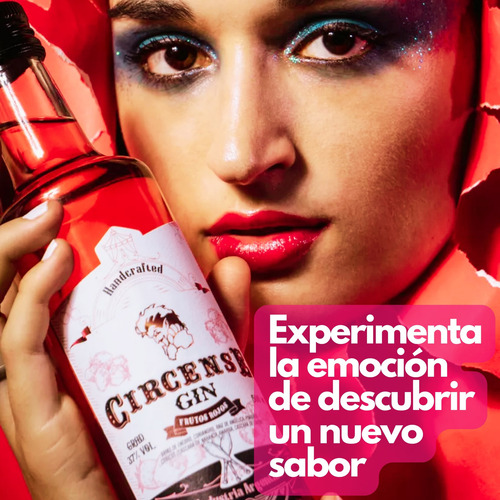 Gin Circense Pink Handcrafted 500ml Frutos Rojos X 2u