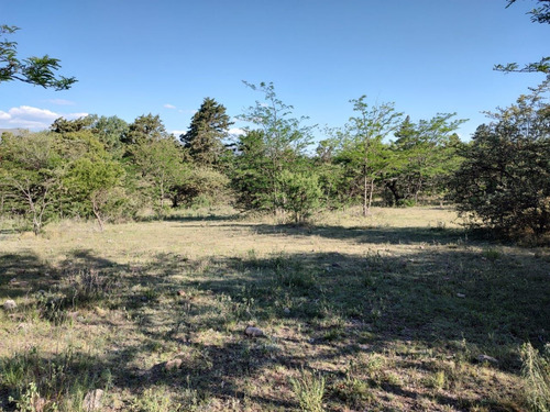 Imagen 11 de 30 de Terrenos En Venta En Villa Giardino