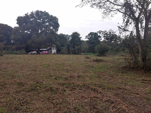 Vendo Terreno 2412 M² Isla De Juana Moza Tuxpan Veracruz