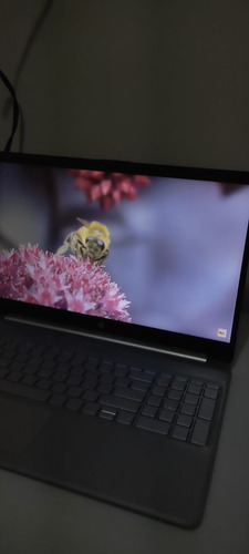Laptop Hp 15 15.6 Amd 3020e 4gb Ram Ssd 120gb Windows 11 (Usado)