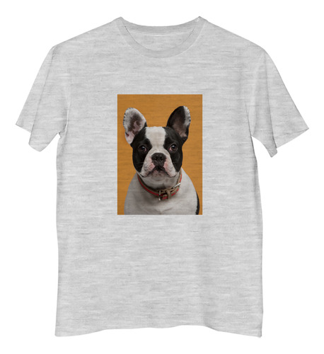 Remera Hombre Perros 3 Cachorro Tierno Moño Cabeza