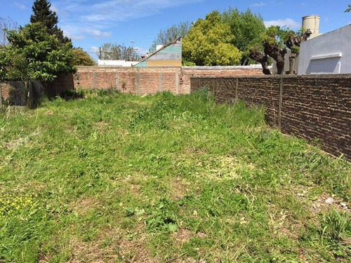 Imagen 10 de 11 de Lote 10x26 - 42 Bis E/ 183 Y 184