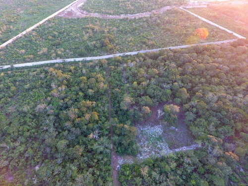 Imagen 5 de 7 de Terreno - Tixcuytun
