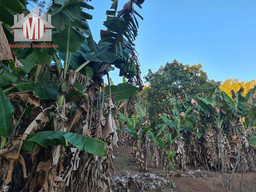 Imagem 19 de 30 de Ótima Chácara Com 4 Dormitórios, Edícula, Salão De Jogos, Pomar, Horta, Bem Localizada, À Venda, 5000 M² Por R$ 630.000 - Zona Rural - Pinhalzinho/sp - Ch0984