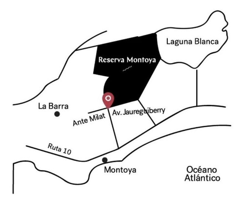 Venta Terreno La Barra Punta Del Este