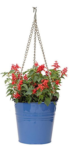 Houston International 6151e B 9inch Steel Hanging Planter Bl