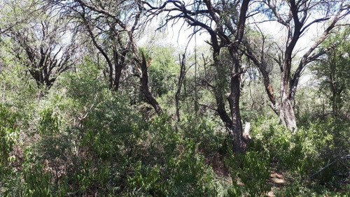 Imagen 4 de 14 de Vendo Lotes De 1000-1500 M² En El Rincón - San Marcos Sierra