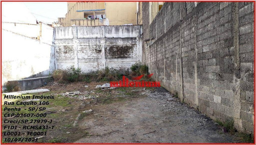 Imagem 10 de 11 de Terreno Para Alugar, 223 M² Por R$ 1.500,00/mês - Parque Boturussu - São Paulo/sp - Te0001